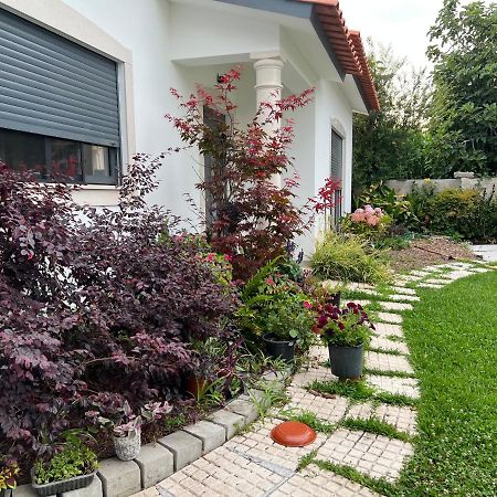 Вілла Beautiful Little Country House Carvide Екстер'єр фото