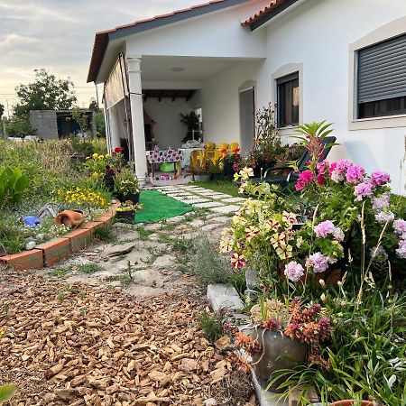 Вілла Beautiful Little Country House Carvide Екстер'єр фото